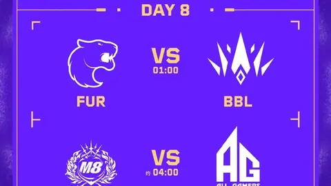 华体会体育娱乐